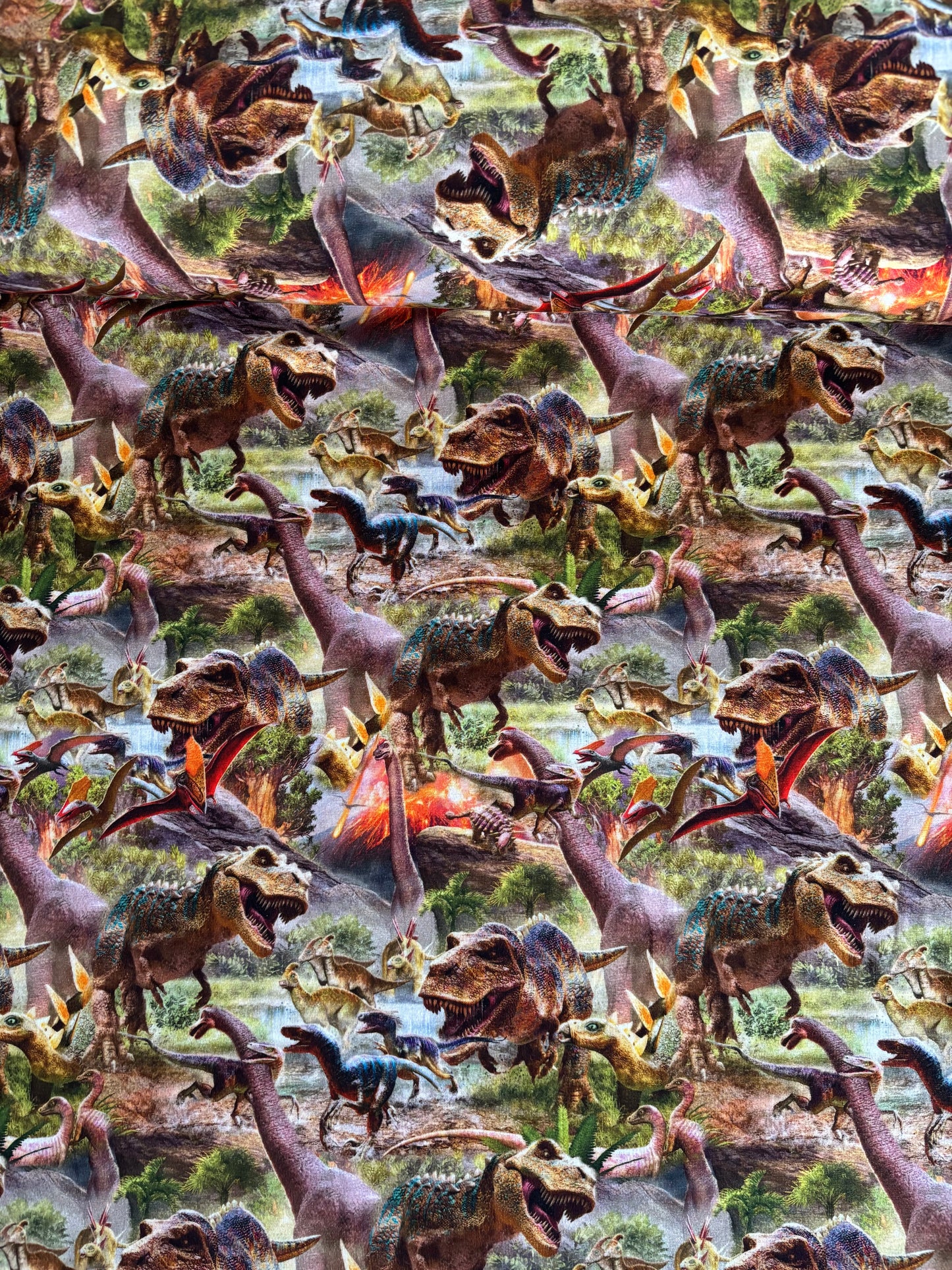 Bomulds Jersey m/ dinosaur 🦕