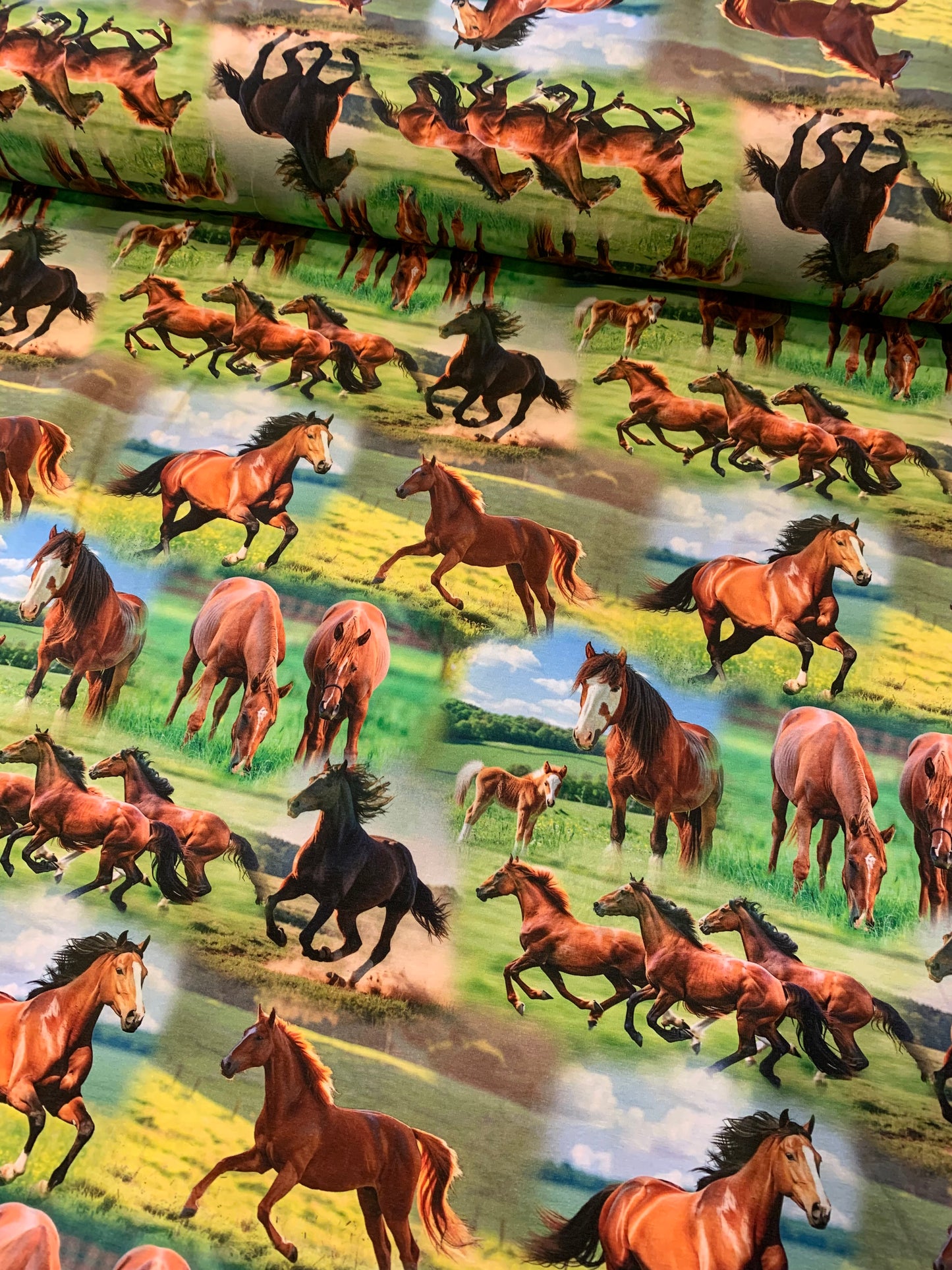 Heste på græs🐴