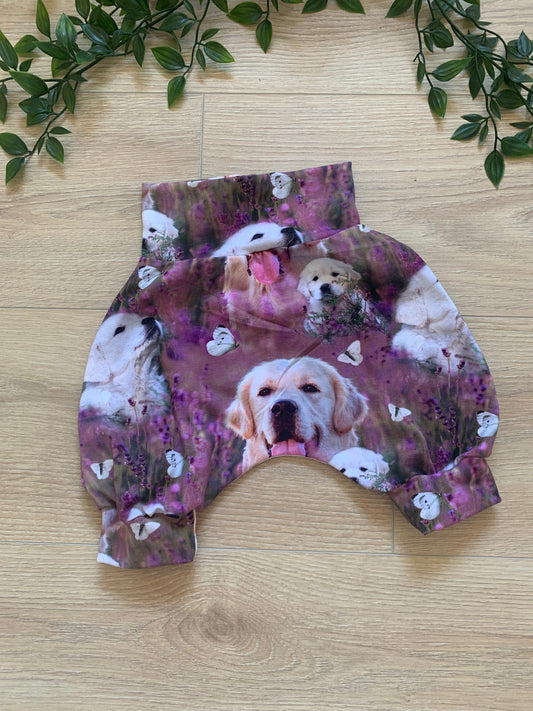 Shorts m/ retriever, str 62/68 🌸