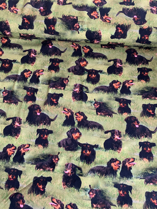 Gravhunde digital