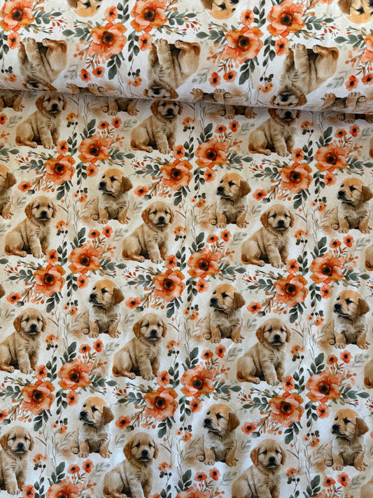 Retriever hvalpe