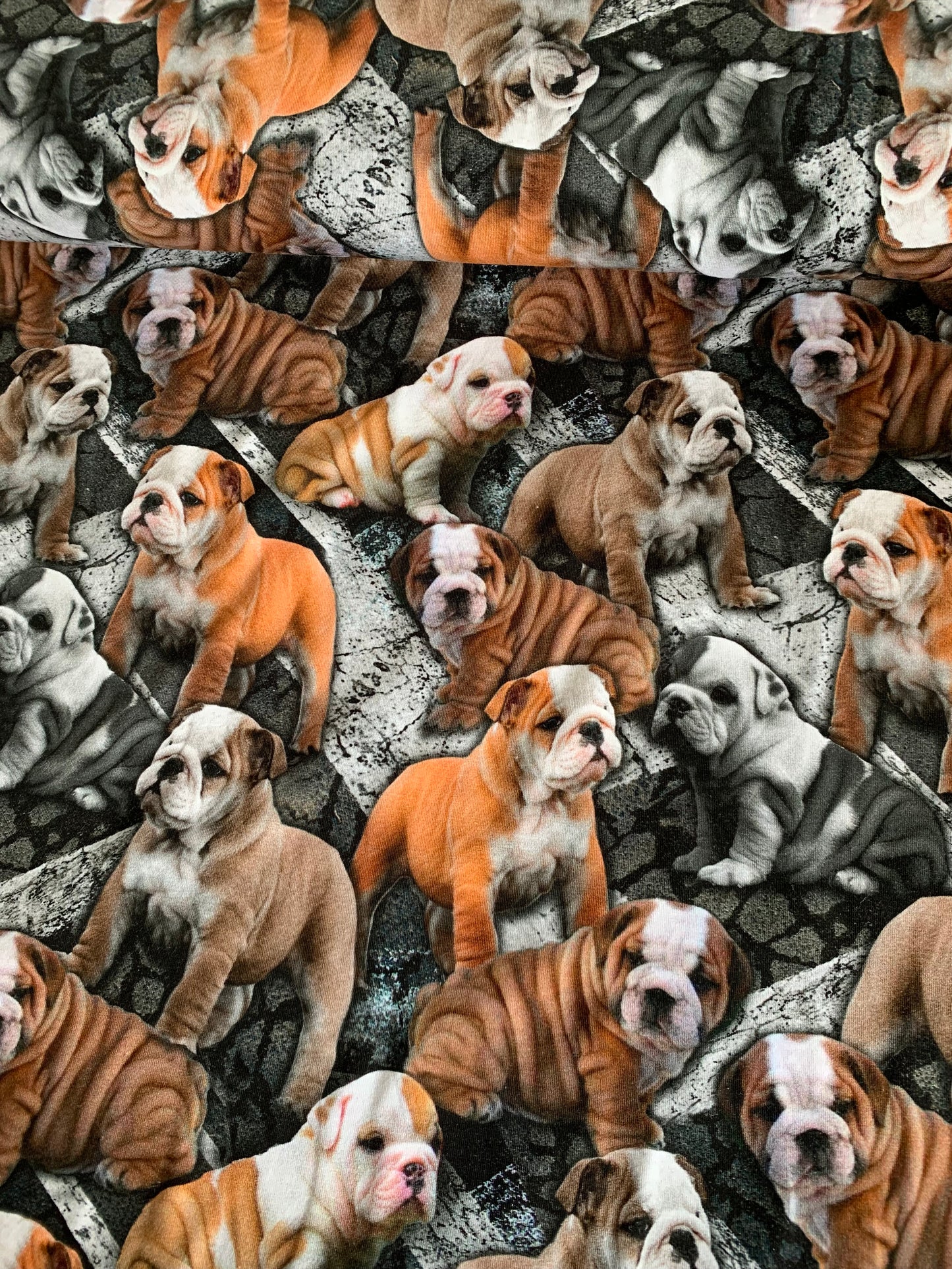 Bulldog hvalpe, bomulds jersey 🐶