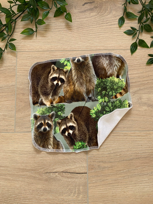 Vaskebjørn 🦝