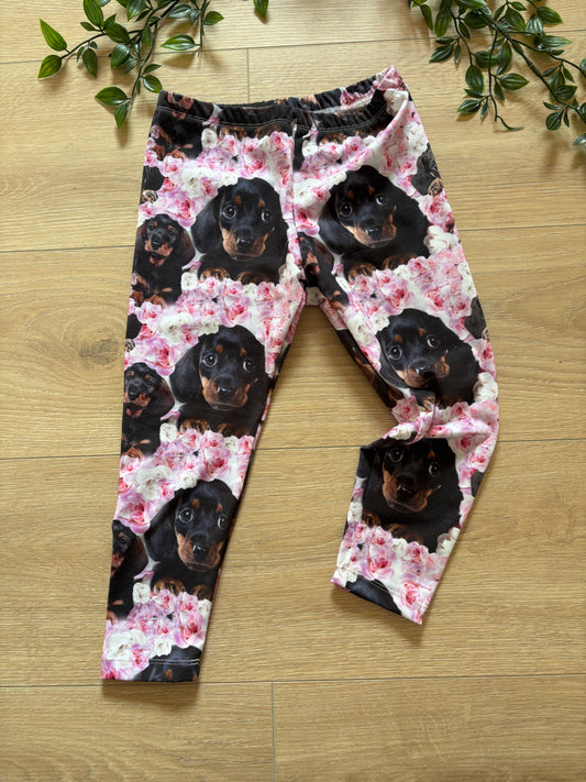 Leggings m/ sort gravhund, str 98 🌸